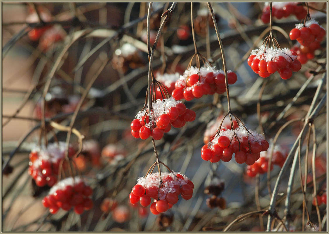 " "����� ������� ������ 2" ����� ������  �� PhotoGeek.ru #������ ��� �������