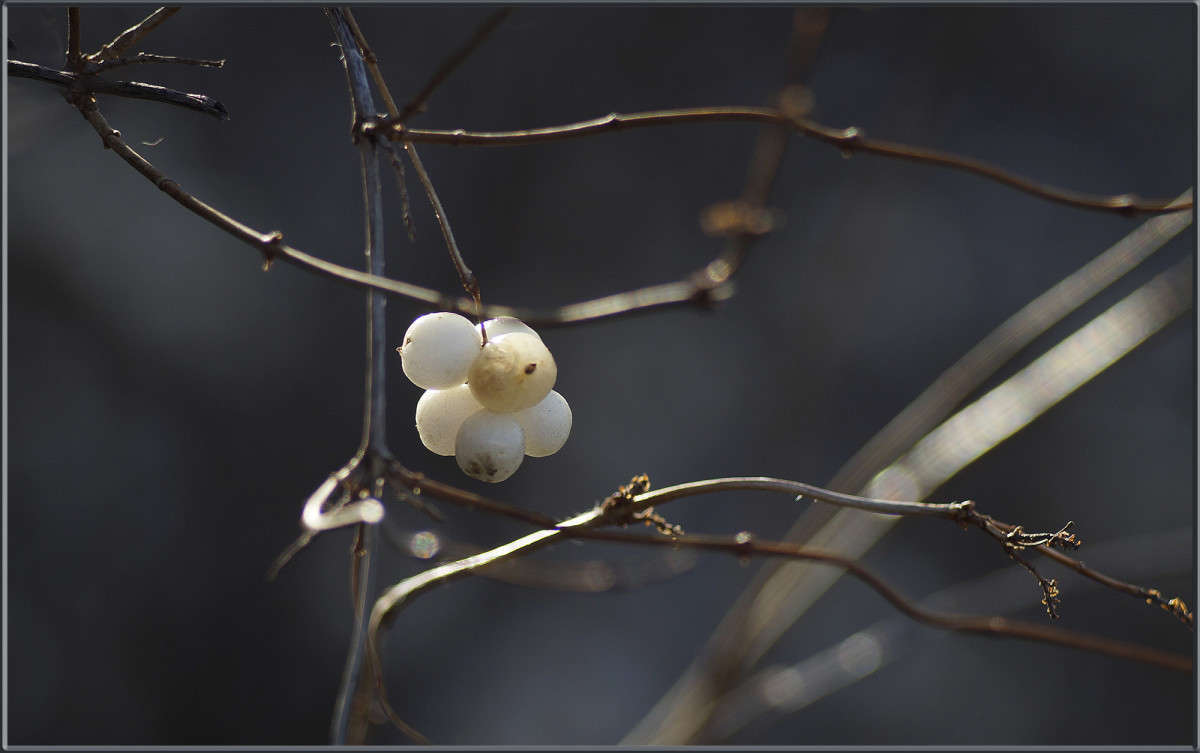 "���������� ������" ����� ������  �� PhotoGeek.ru #������ ��� �������