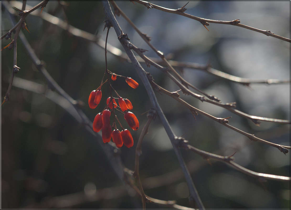 "��������" 3 ����� ������  �� PhotoGeek.ru #������ ��� �������