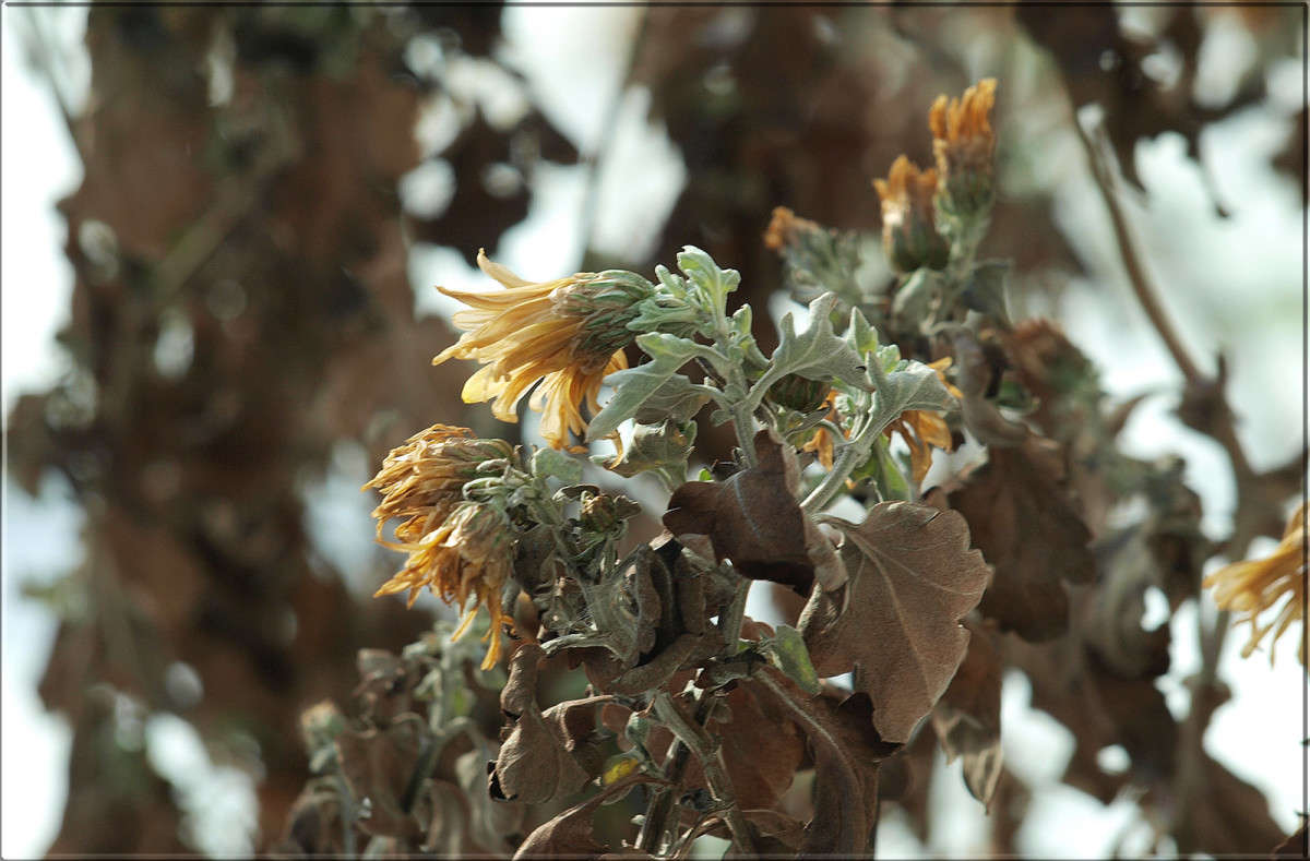 "��������" ����� ������  �� PhotoGeek.ru #������ ��� �������