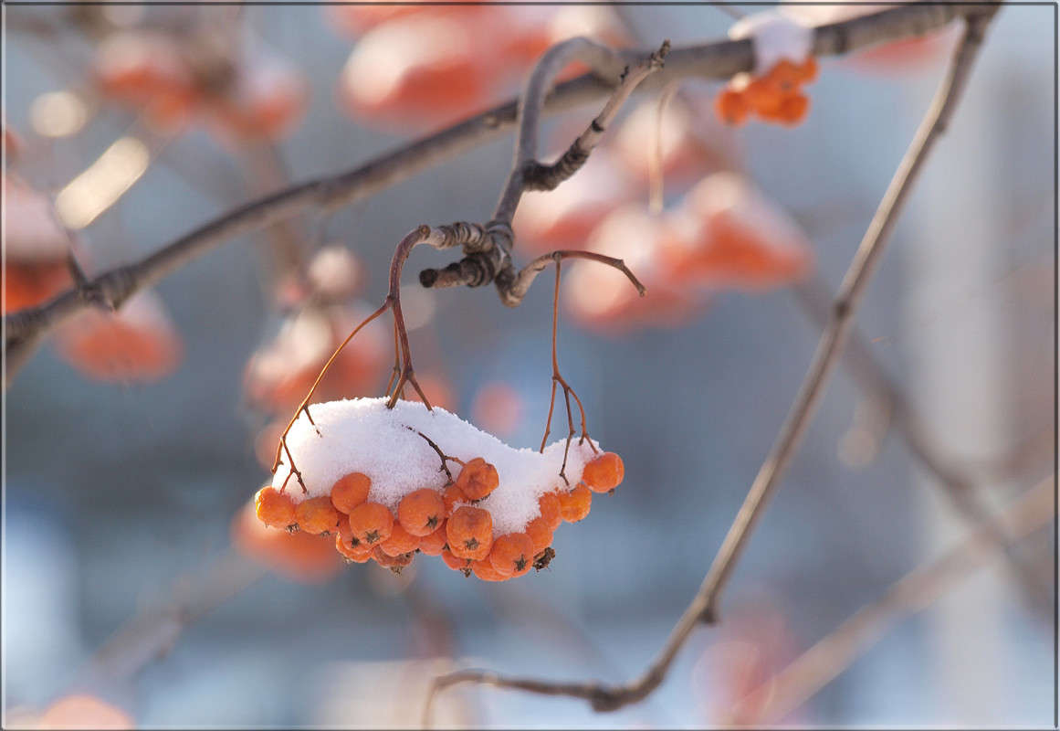 "��������" 2 ����� ������  �� PhotoGeek.ru #������ ��� �������