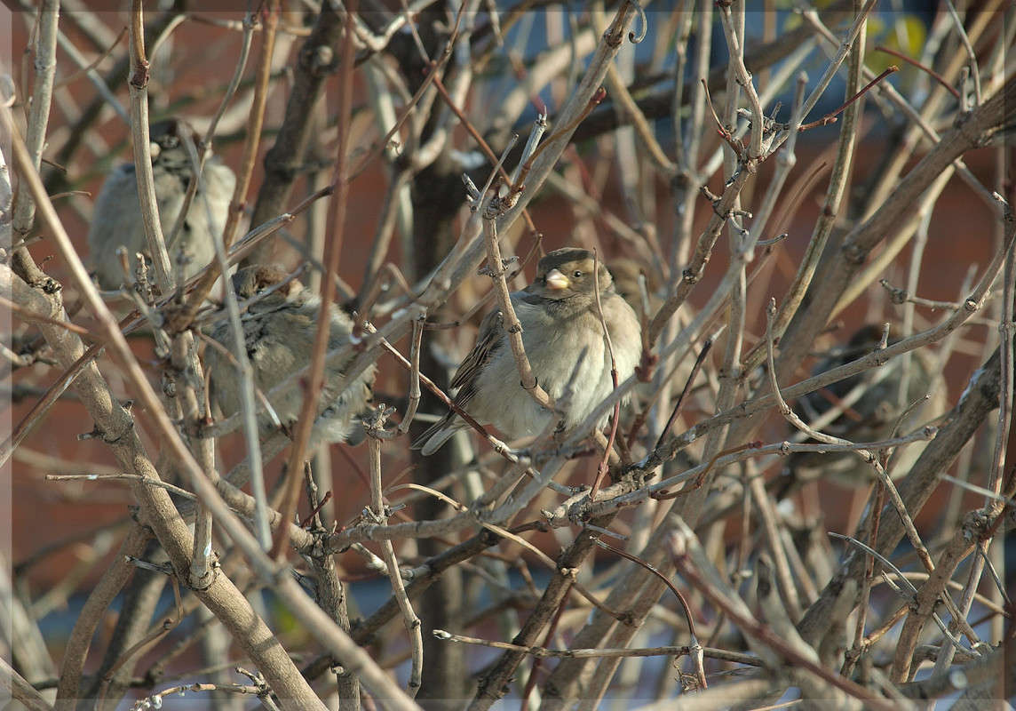 ����� ������� ����� ������  �� PhotoGeek.ru #�������� ���