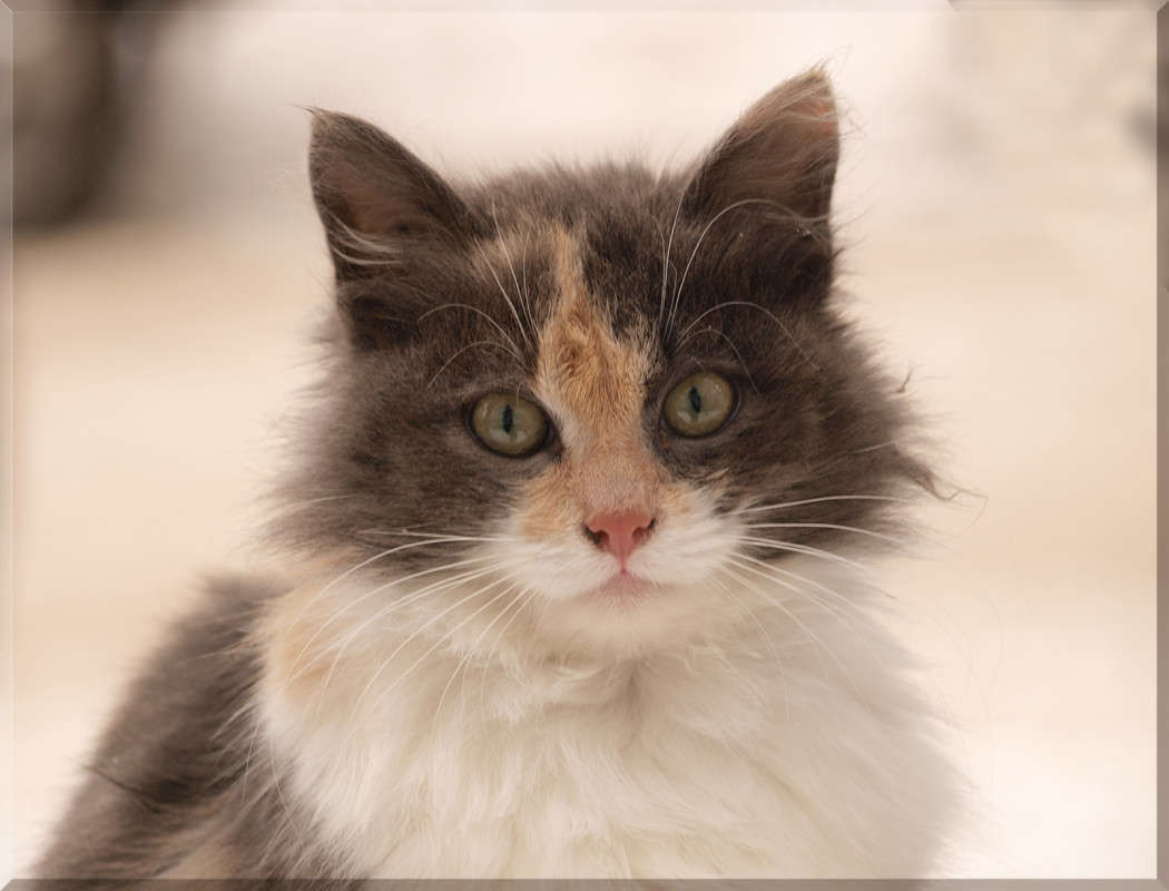 "��������" ����� ������  �� PhotoGeek.ru #�������� ���