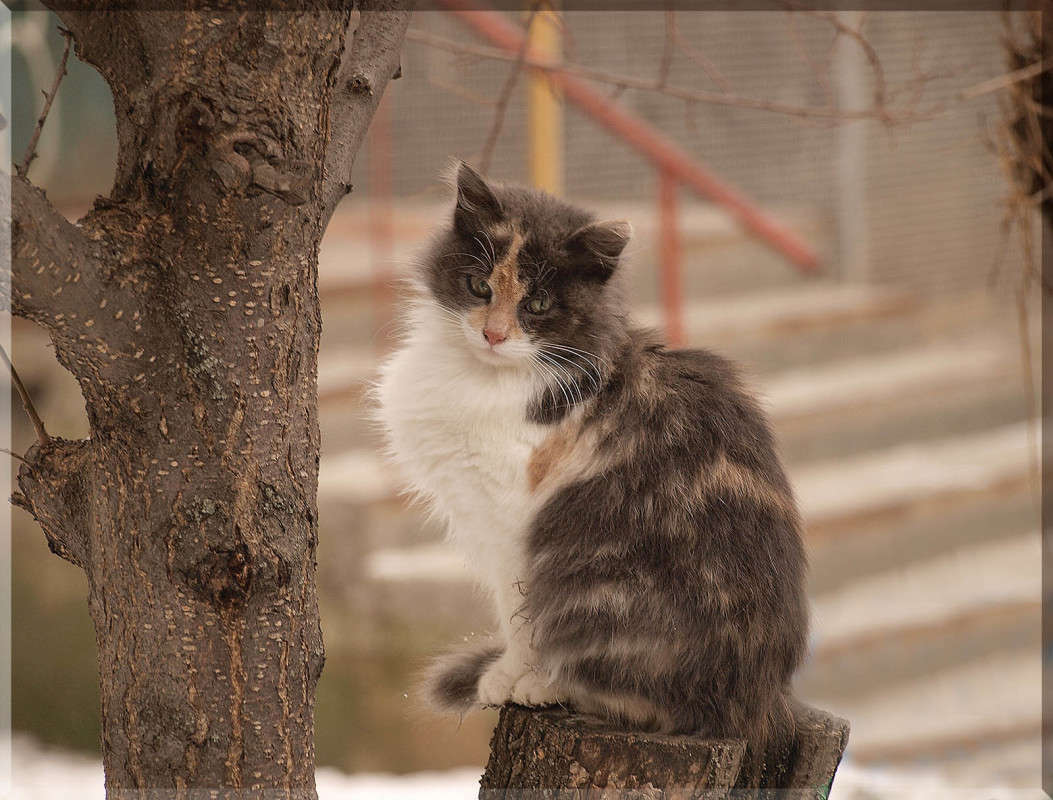 "�� ������� � �������" ����� ������  �� PhotoGeek.ru #�������� ���