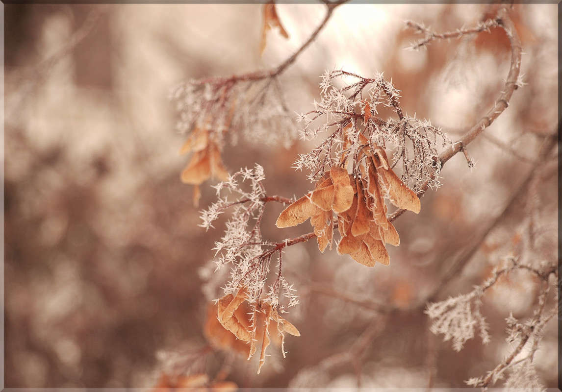 ������� ������ 5 ����� ������  �� PhotoGeek.ru #������ ��� �������