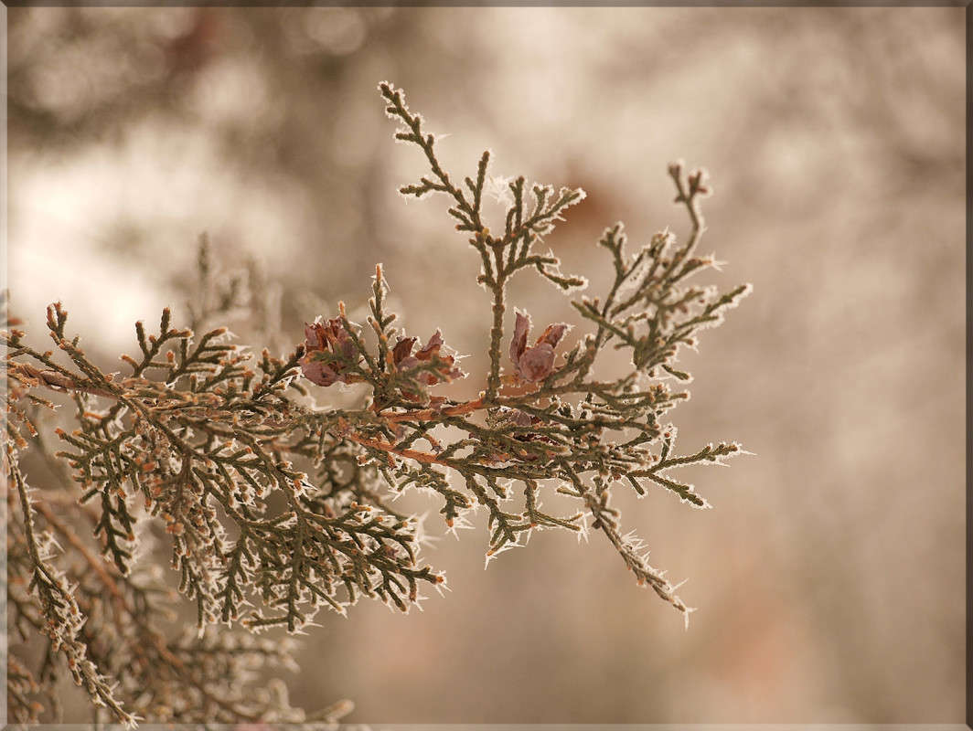 ������� ������ 4 ����� ������  �� PhotoGeek.ru #������ ��� �������