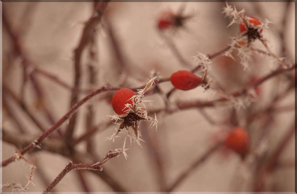 ������� ������ ����� ������  �� PhotoGeek.ru #������ ��� �������