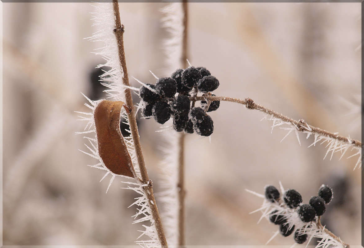 ������� ������ 2 ����� ������  �� PhotoGeek.ru #������ ��� �������