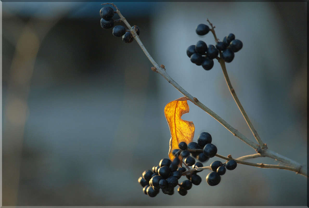 ������ ����� ������  �� PhotoGeek.ru #������ ��� �������