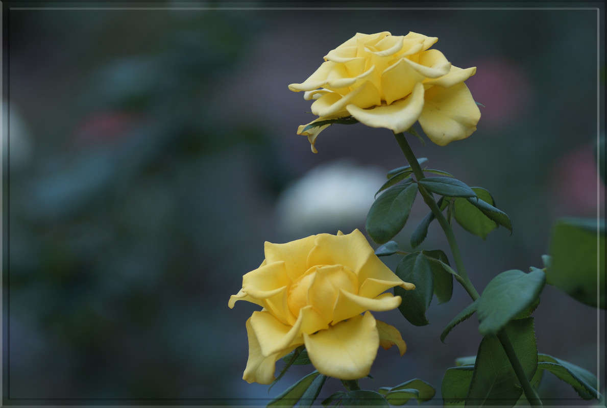 "�� ������ ������� � �����" ����� ������  �� PhotoGeek.ru #������ ��� �������