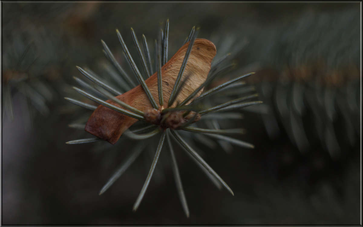 "����������" ����� ������  �� PhotoGeek.ru #������ ��� �������