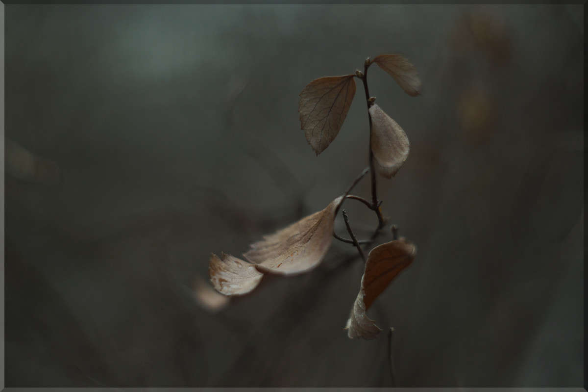 "���� ������" ����� ������  �� PhotoGeek.ru #������ ��� �������