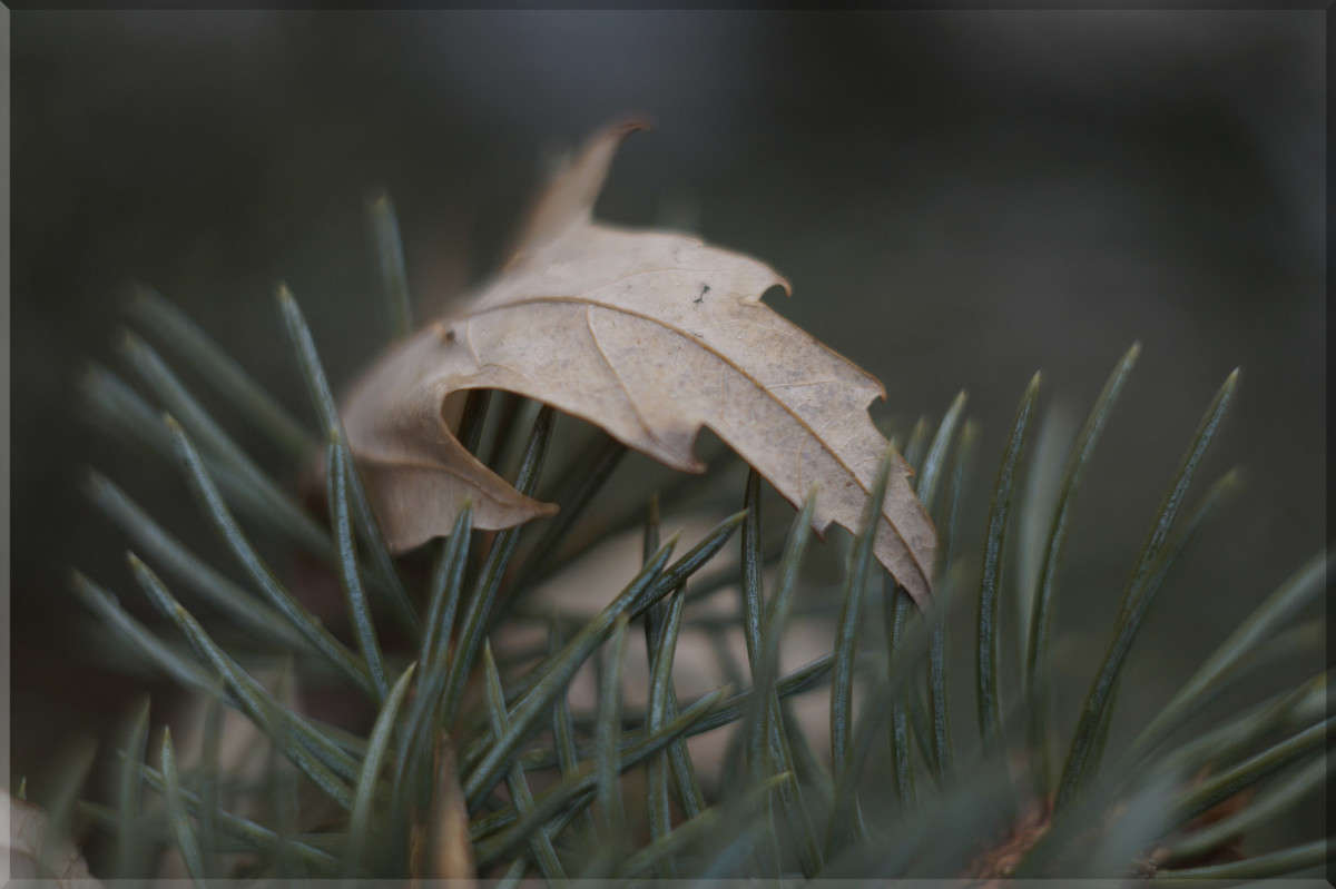 "���������� 2" ����� ������  �� PhotoGeek.ru #������ ��� �������