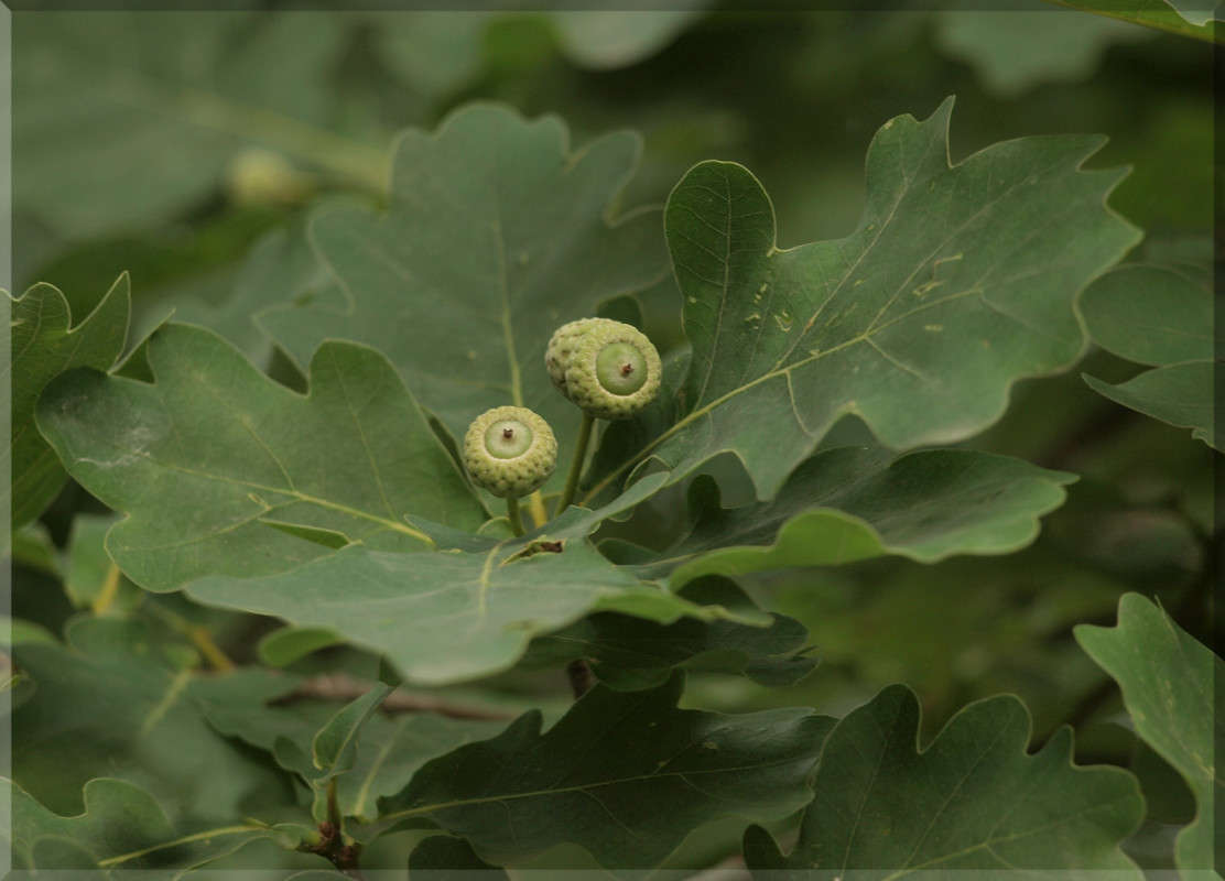 "���������" ����� ������  �� PhotoGeek.ru #������ ��� �������