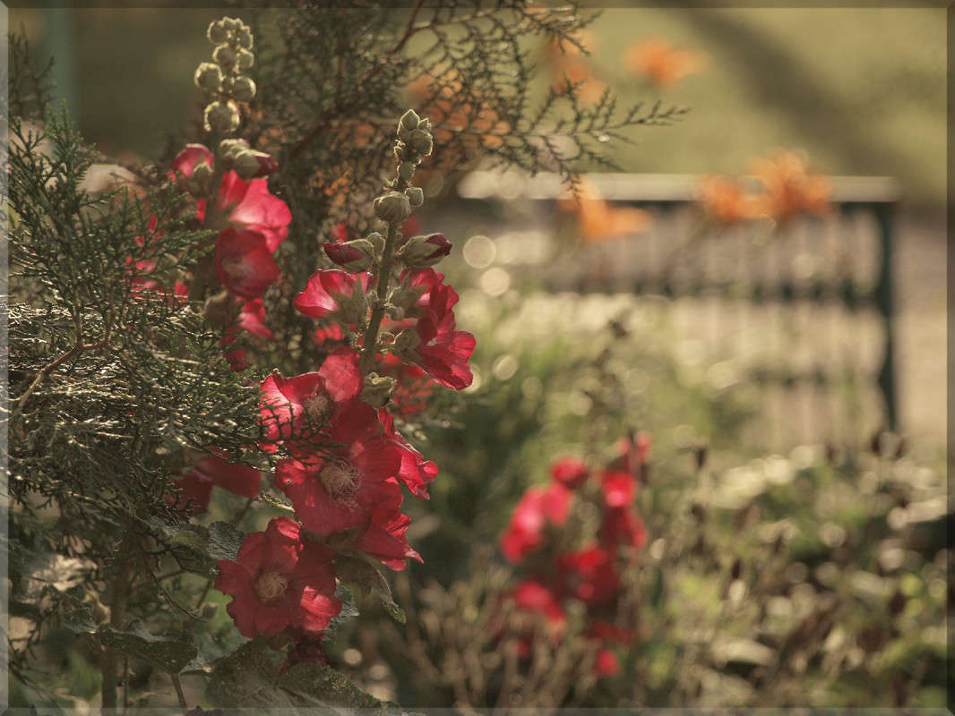 "����� ����" ����� ������  �� PhotoGeek.ru #������ ��� �������