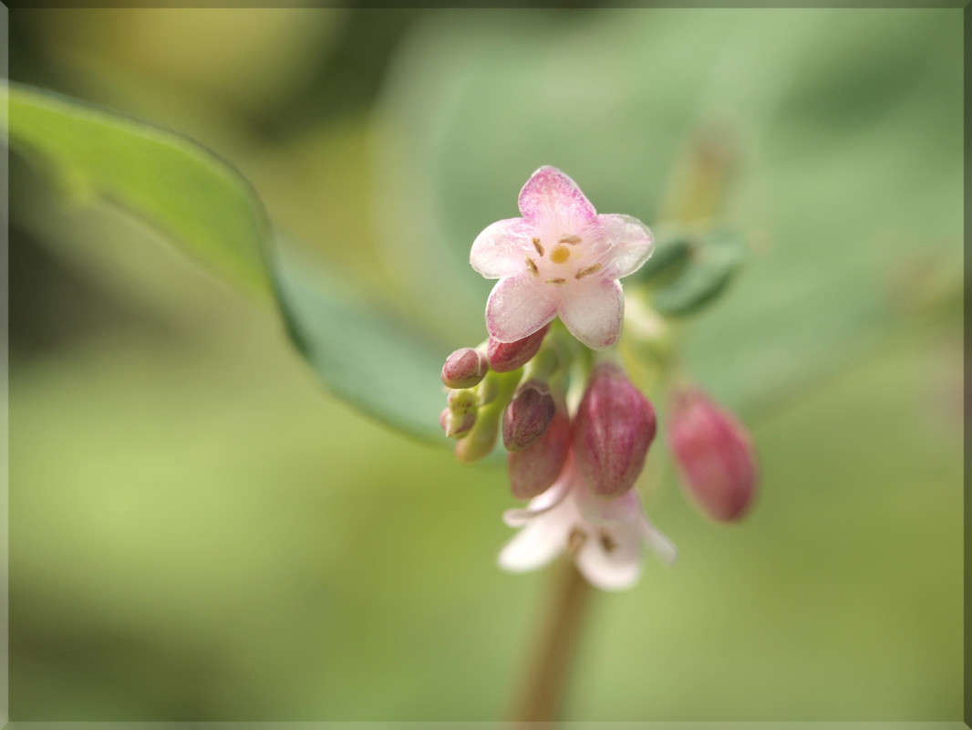 "������" ����� ������  �� PhotoGeek.ru #������ ��� �������