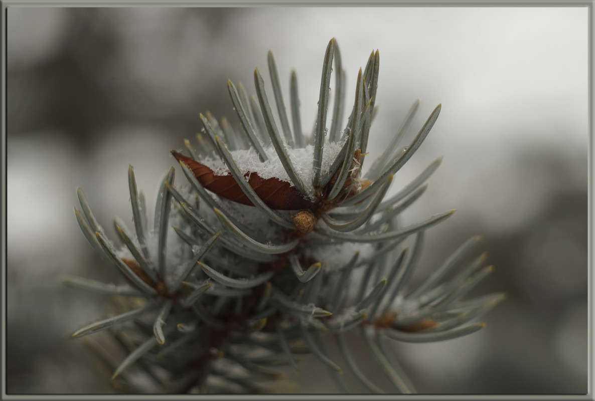 ���������� 3 ����� ������  �� PhotoGeek.ru #������ ��� �������