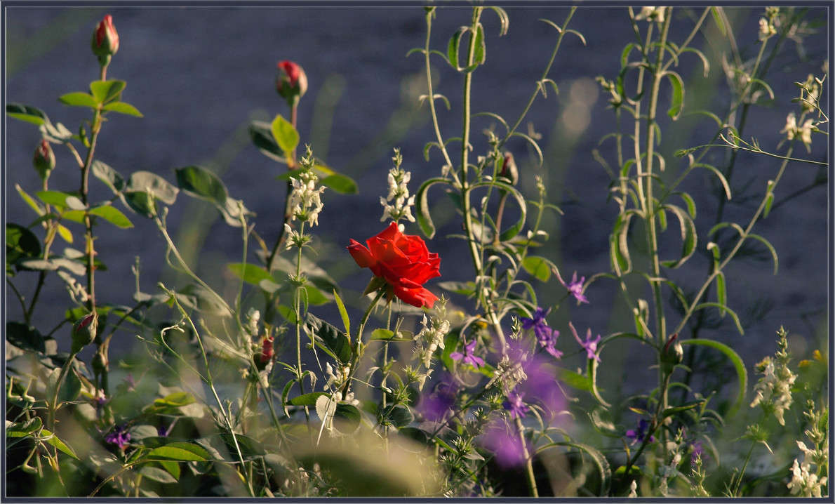 ����� ������� ����� ������  �� PhotoGeek.ru #������ ��� �������