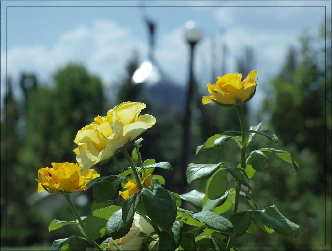 "���� �������" ����� ������  �� PhotoGeek.ru #������ ��� �������