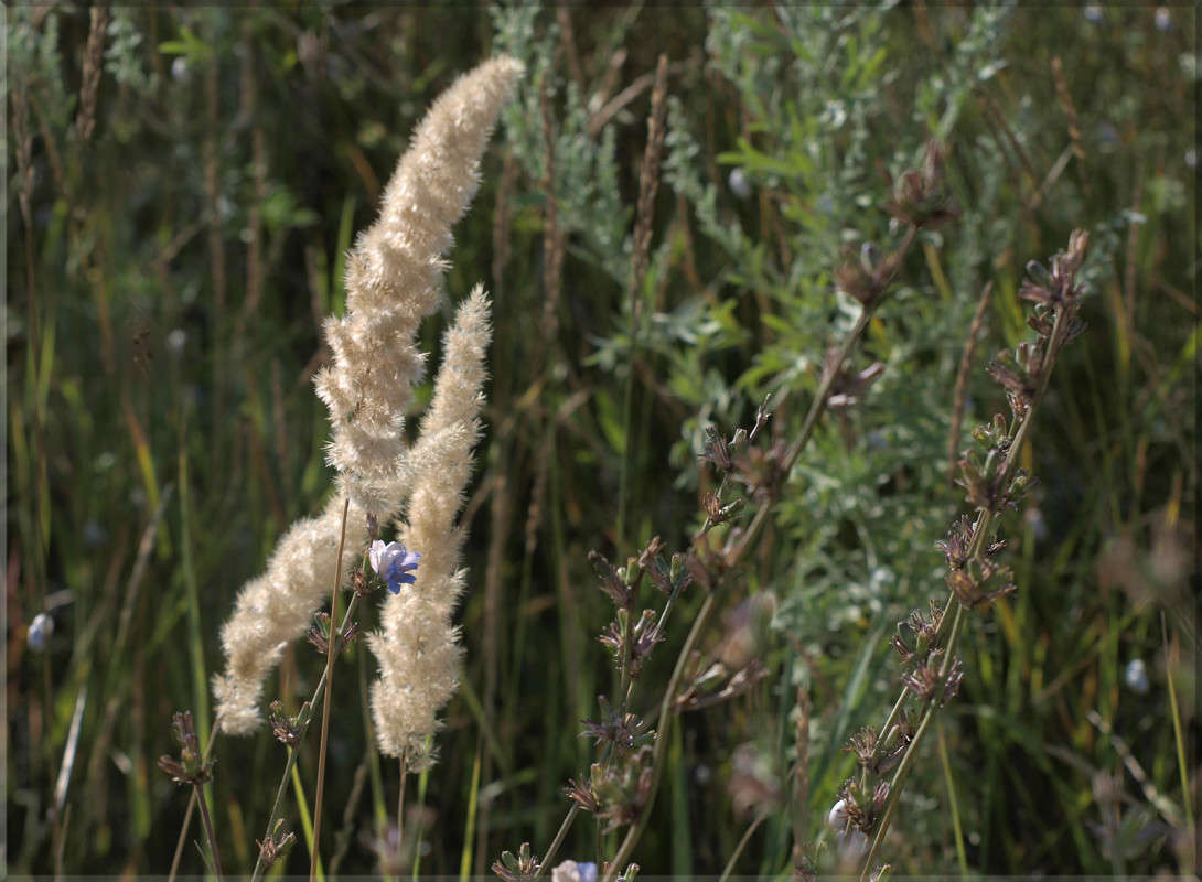 ���� ������� 5 ����� ������  �� PhotoGeek.ru #������ ��� �������