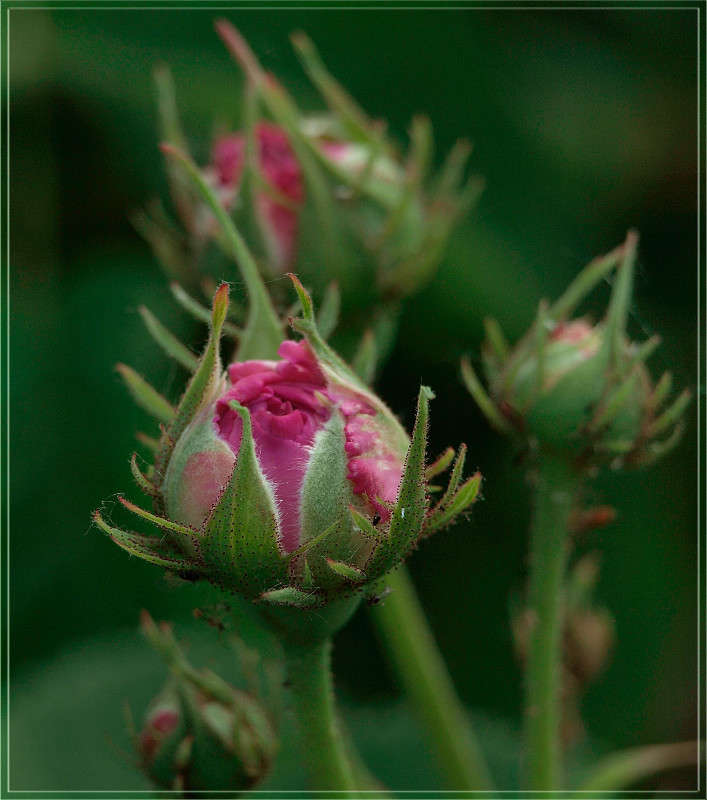 ���� ���� ��� ����� ������  �� PhotoGeek.ru #������ ��� �������