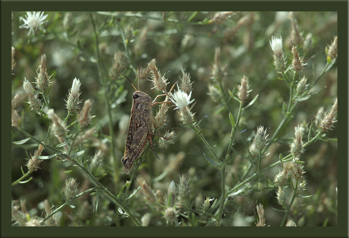 "��� ��� ����� ��������" ����� ������  �� PhotoGeek.ru #�������� ���