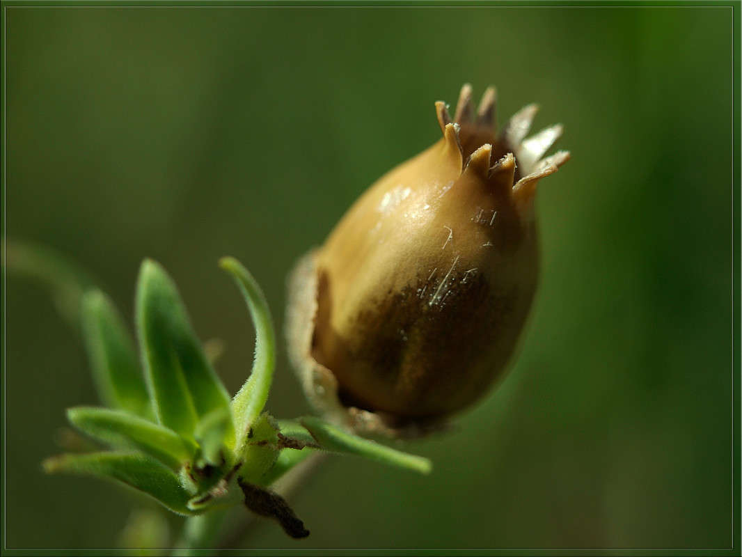 ������� ����� ������  �� PhotoGeek.ru #������ ��� �������