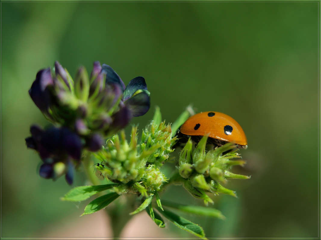 �� ����� ������  �� PhotoGeek.ru #�����