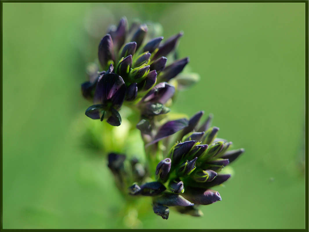 ������� ����� ������  �� PhotoGeek.ru #������ ��� �������