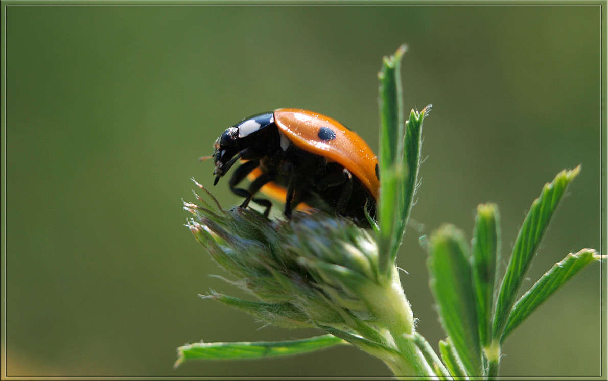 � ������ ������ ����� ������  �� PhotoGeek.ru #�����