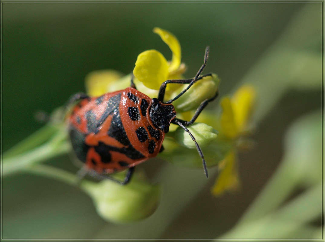 �� ����� ����� ����� ������  �� PhotoGeek.ru #�����