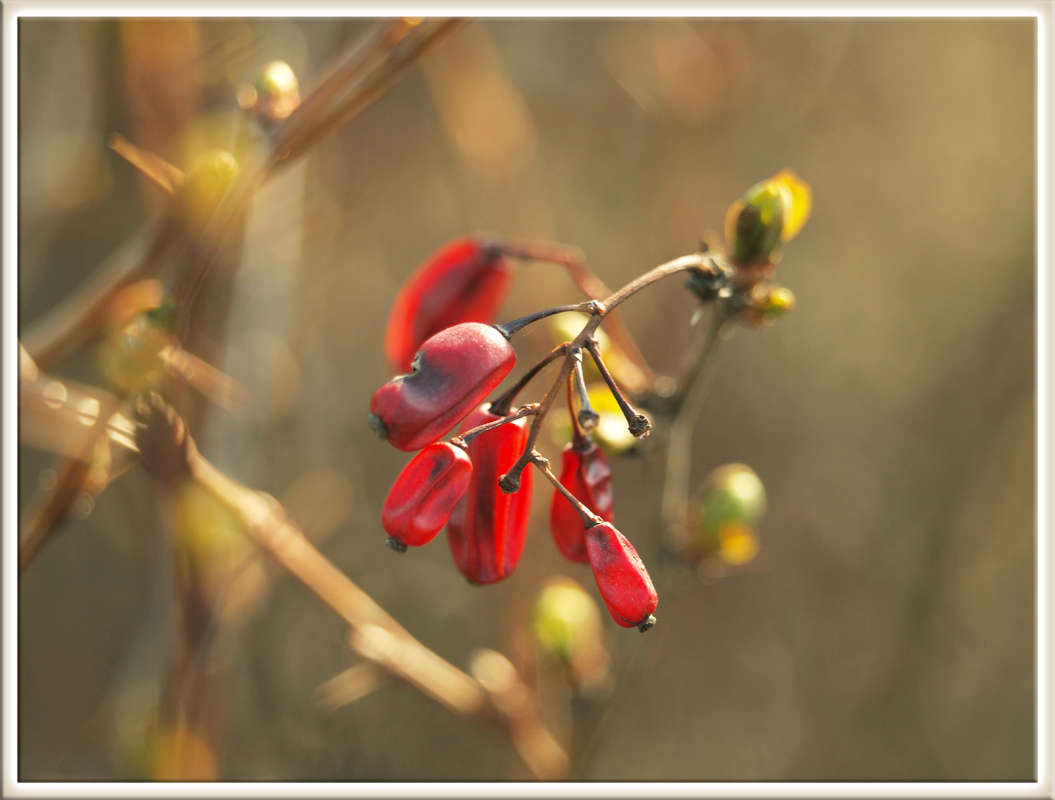 ���� �� ����� ����� ������  �� PhotoGeek.ru #������ ��� �������