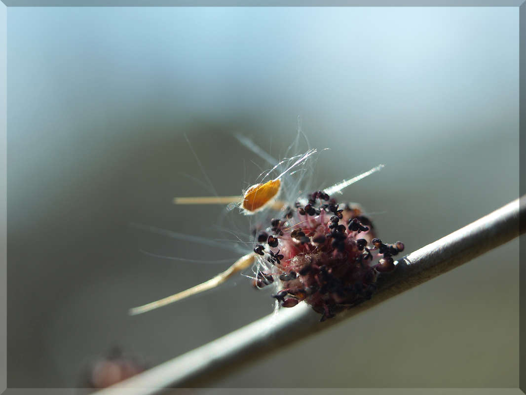 ���� ������������ ����� ������  �� PhotoGeek.ru #������ ��� �������