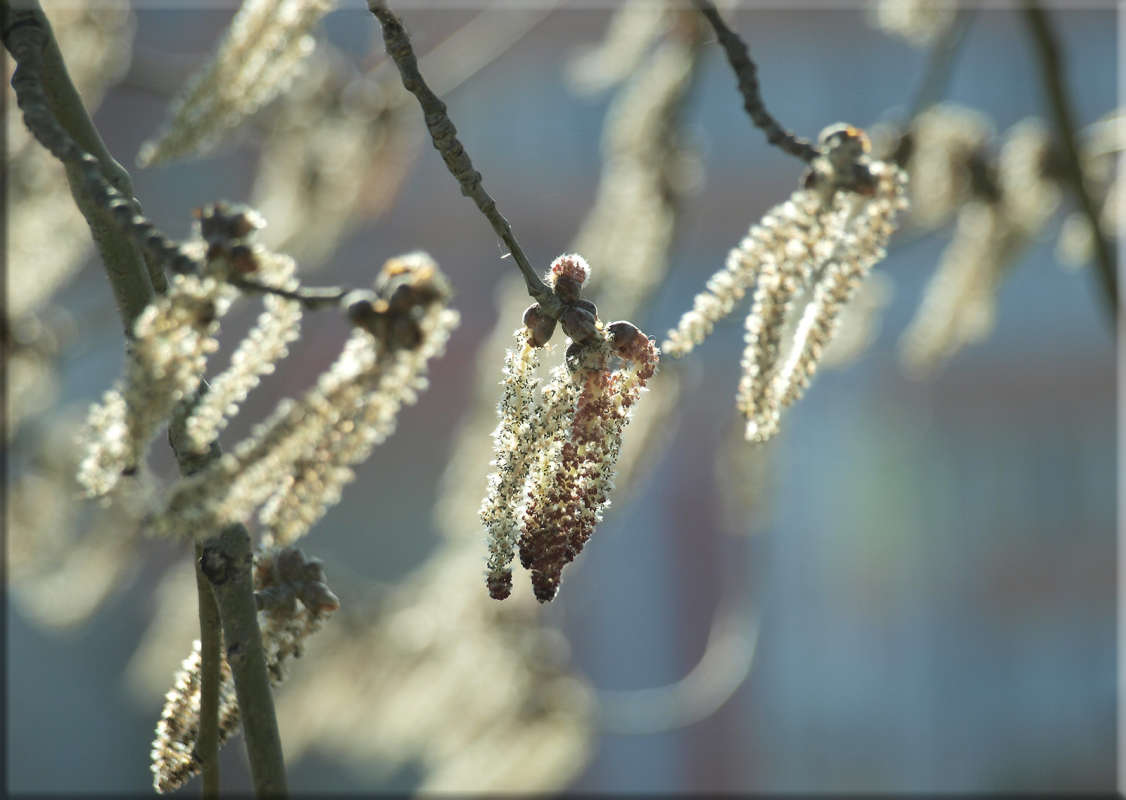 " "��������� ������ �" ����� ������  �� PhotoGeek.ru #������ ��� �������