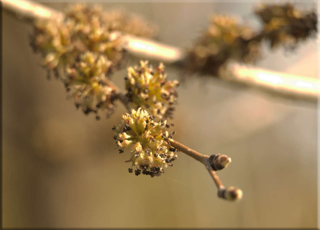 "���������" ����� ������  �� PhotoGeek.ru #������ ��� �������