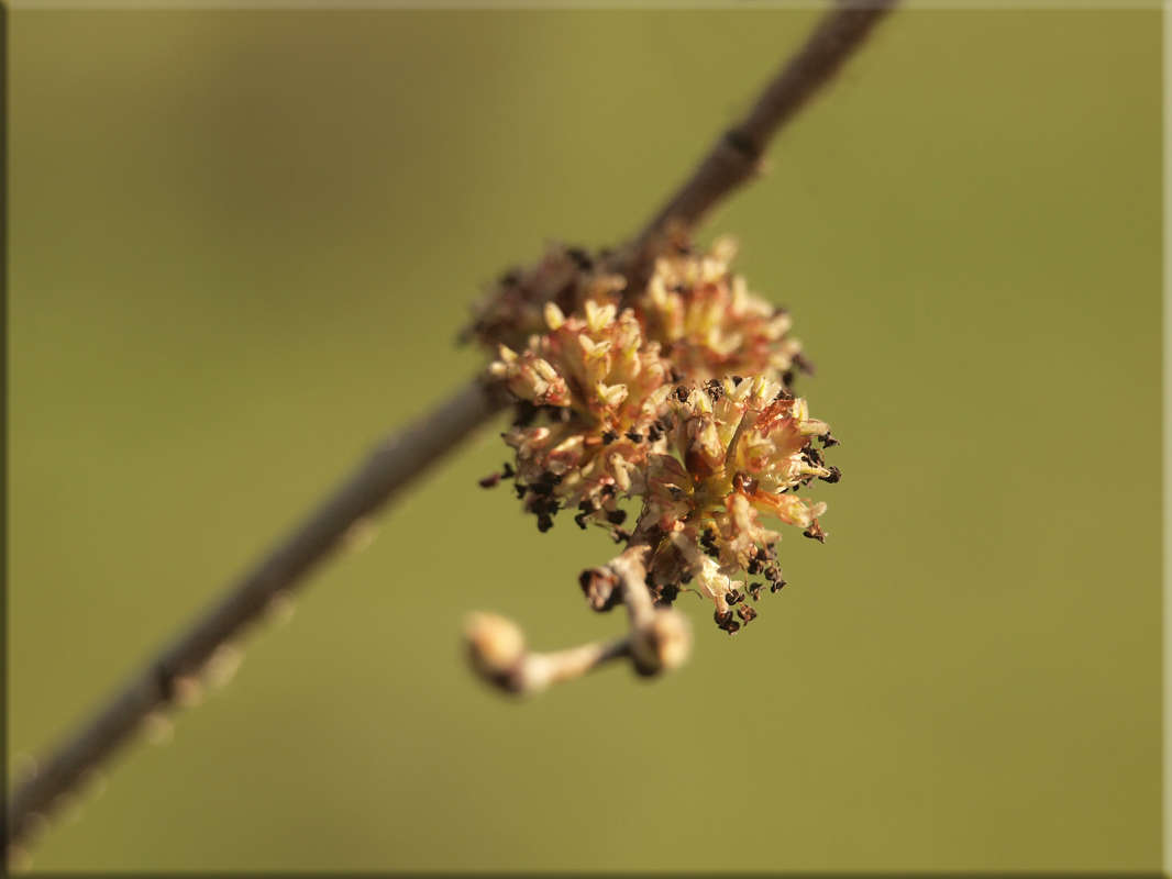 ��������� ������ 2 ����� ������  �� PhotoGeek.ru #������ ��� �������