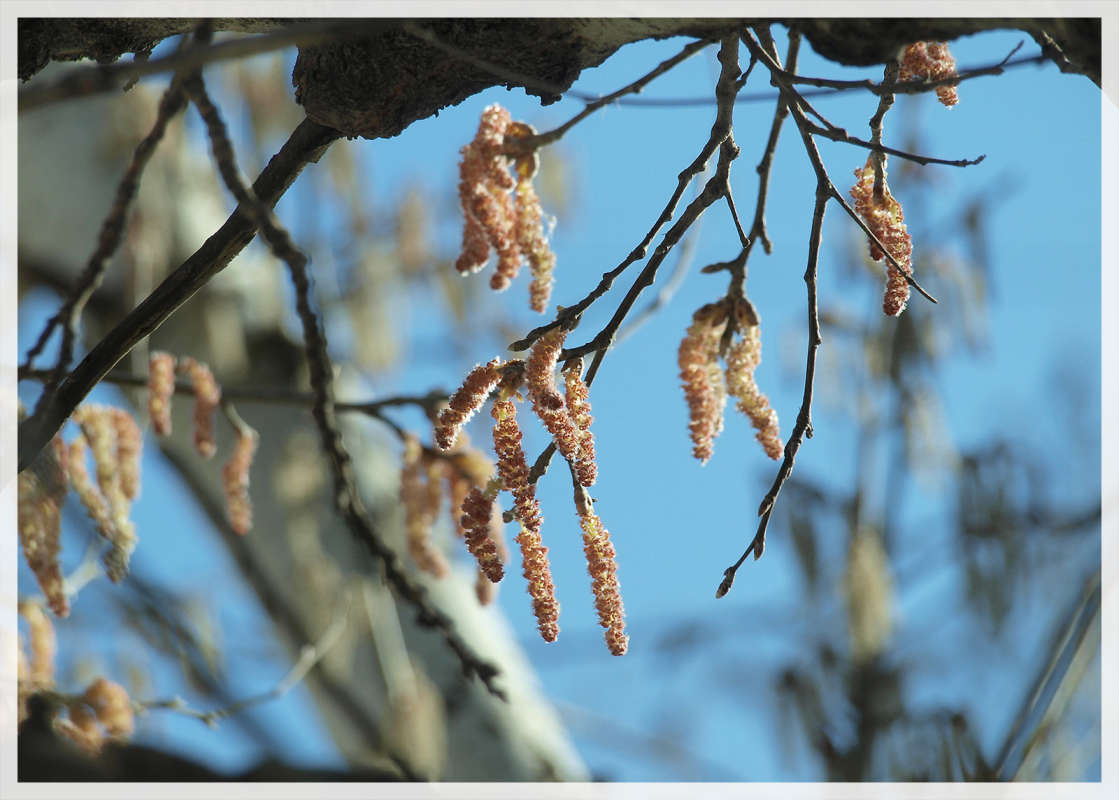 "��������� 2" ����� ������  �� PhotoGeek.ru #������ ��� �������