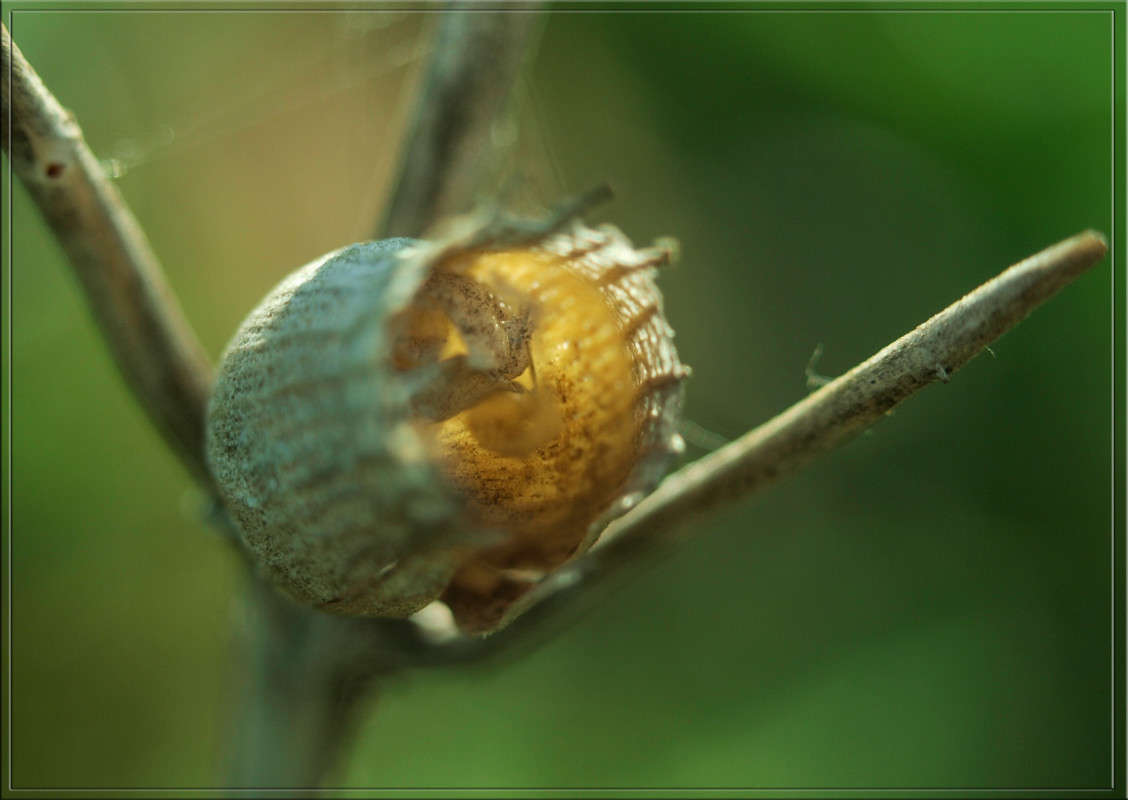 ���������� ����� ������  �� PhotoGeek.ru #�����