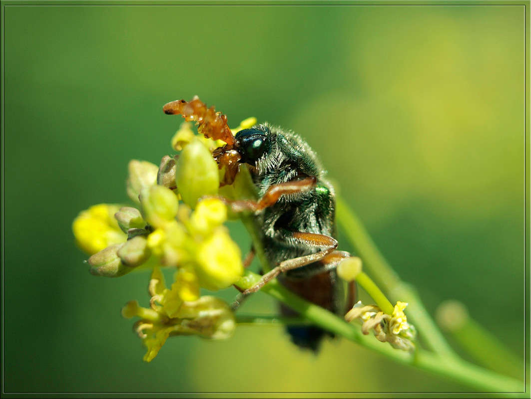 ��������� ������������ ����� ������  �� PhotoGeek.ru #�����