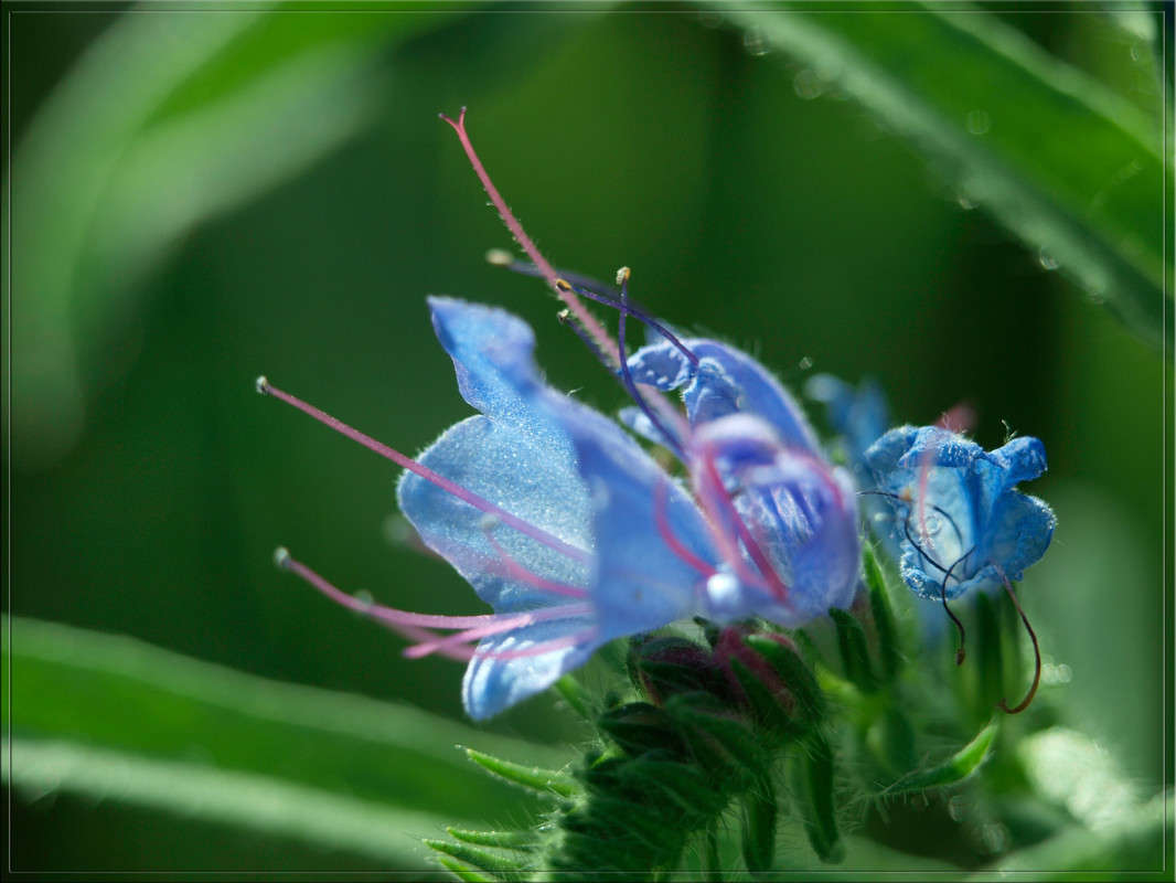 ���� ������������� ����� ������  �� PhotoGeek.ru #�����