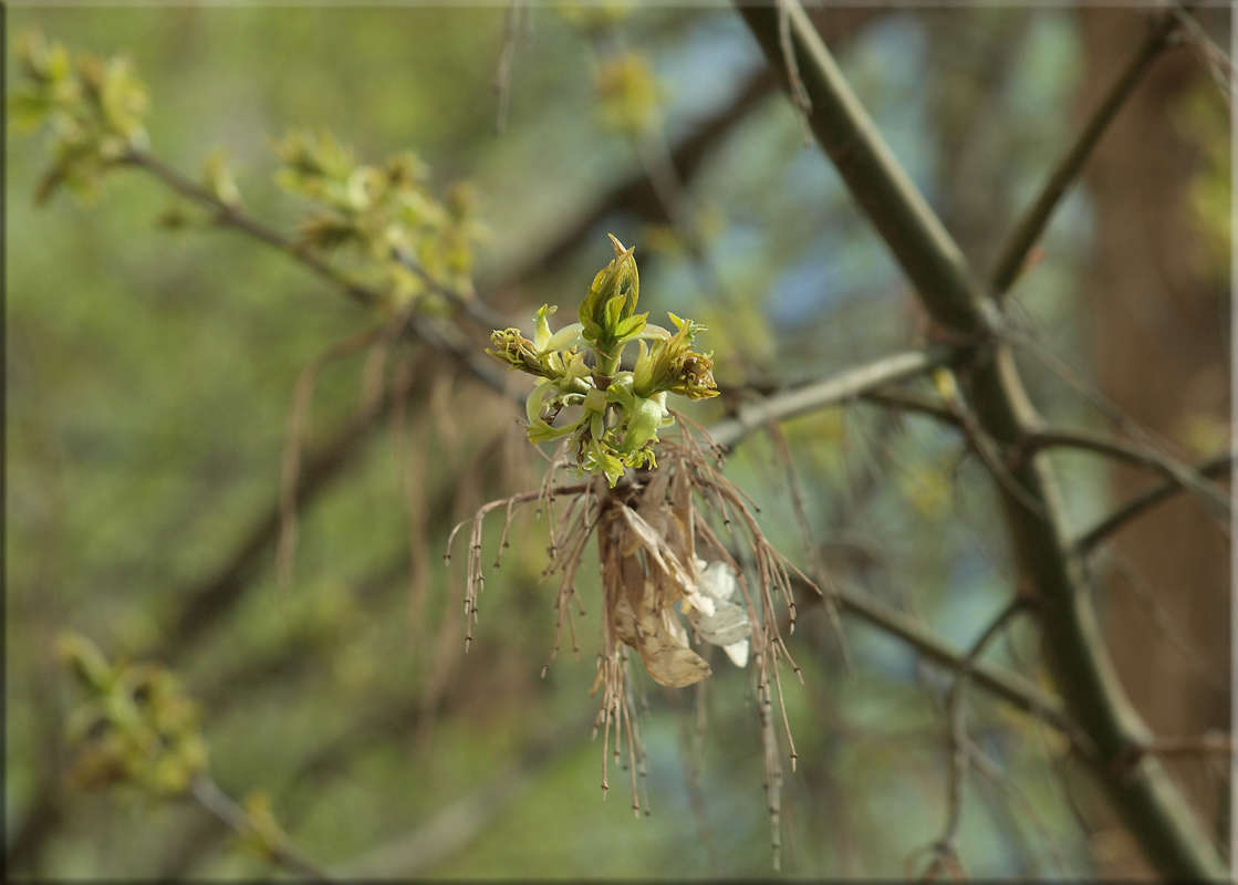 "����� ����� 2" ����� ������  �� PhotoGeek.ru #������ ��� �������