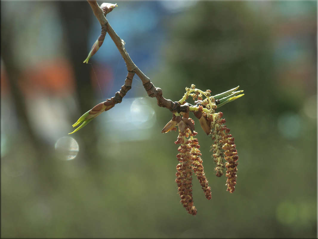 ���������� ���������� ���� ����� ������  �� PhotoGeek.ru #������ ��� �������