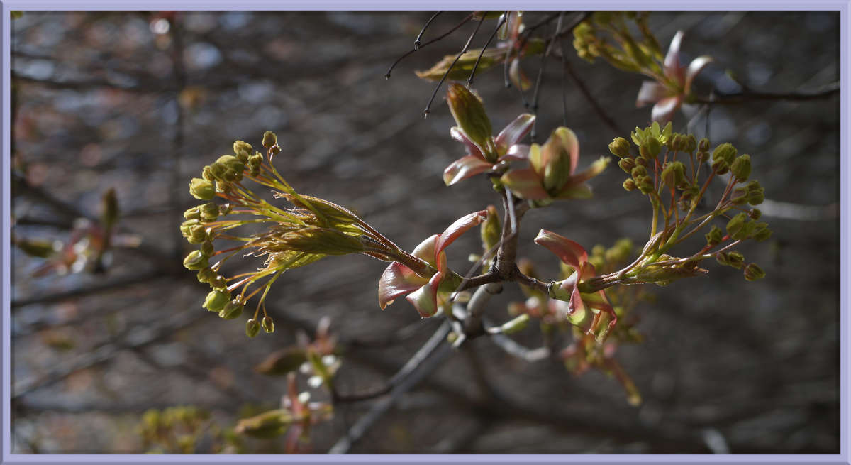 "������������ �������� �����" ����� ������  �� PhotoGeek.ru #������ ��� �������