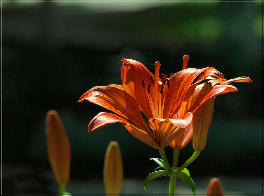 ��������� ����� ������  �� PhotoGeek.ru #������ ��� �������