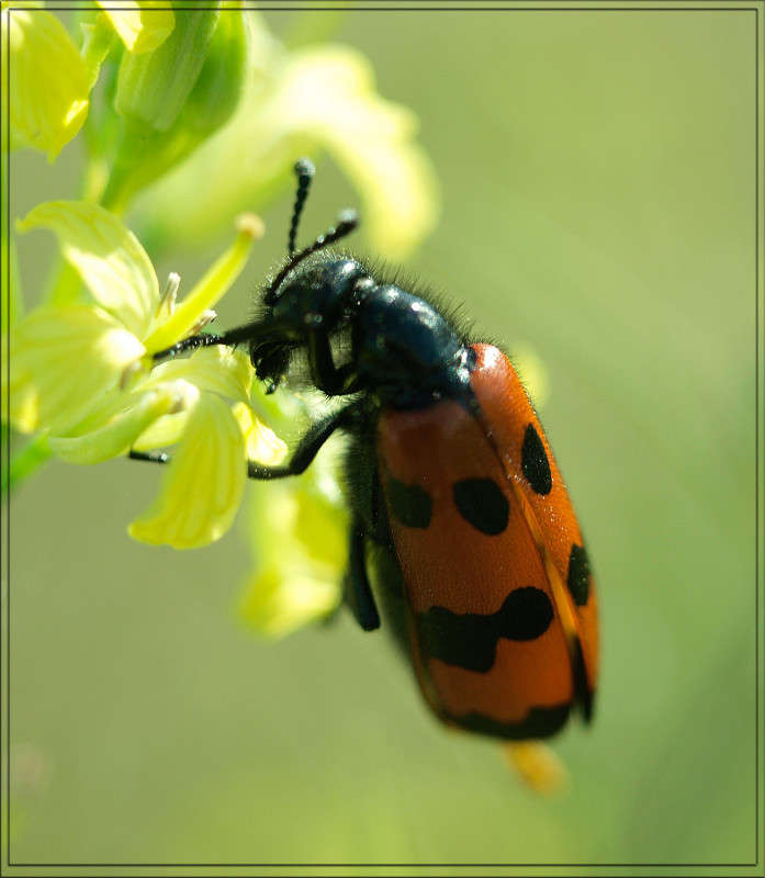 � ������� ����� ����� ������  �� PhotoGeek.ru #�����