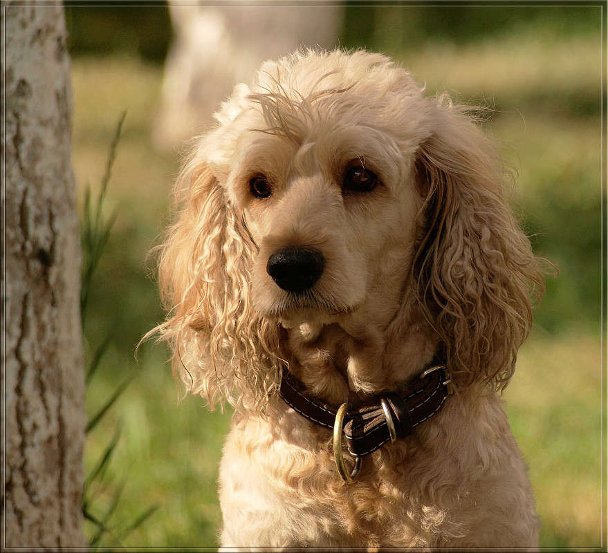 ������� ������ ����� ������  �� PhotoGeek.ru #�������� ���