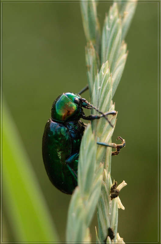 ��� ��� ����� ������  �� PhotoGeek.ru #�����