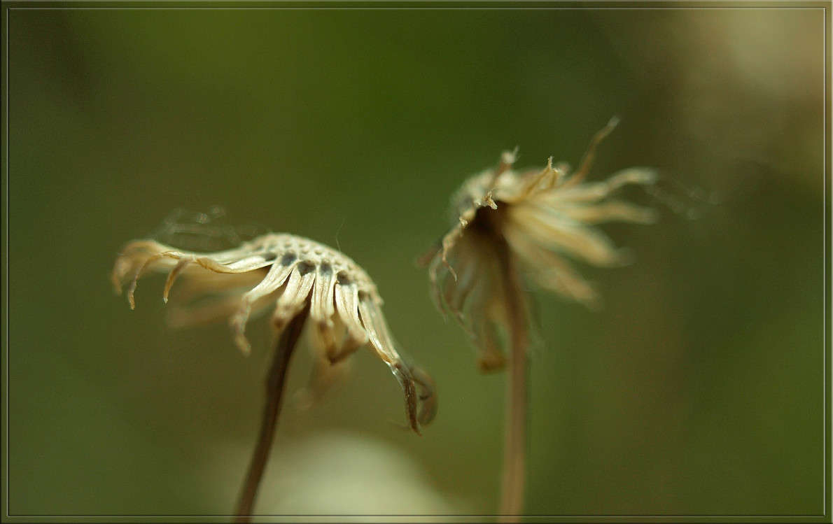 ������ ���� ����� ������  �� PhotoGeek.ru #�����