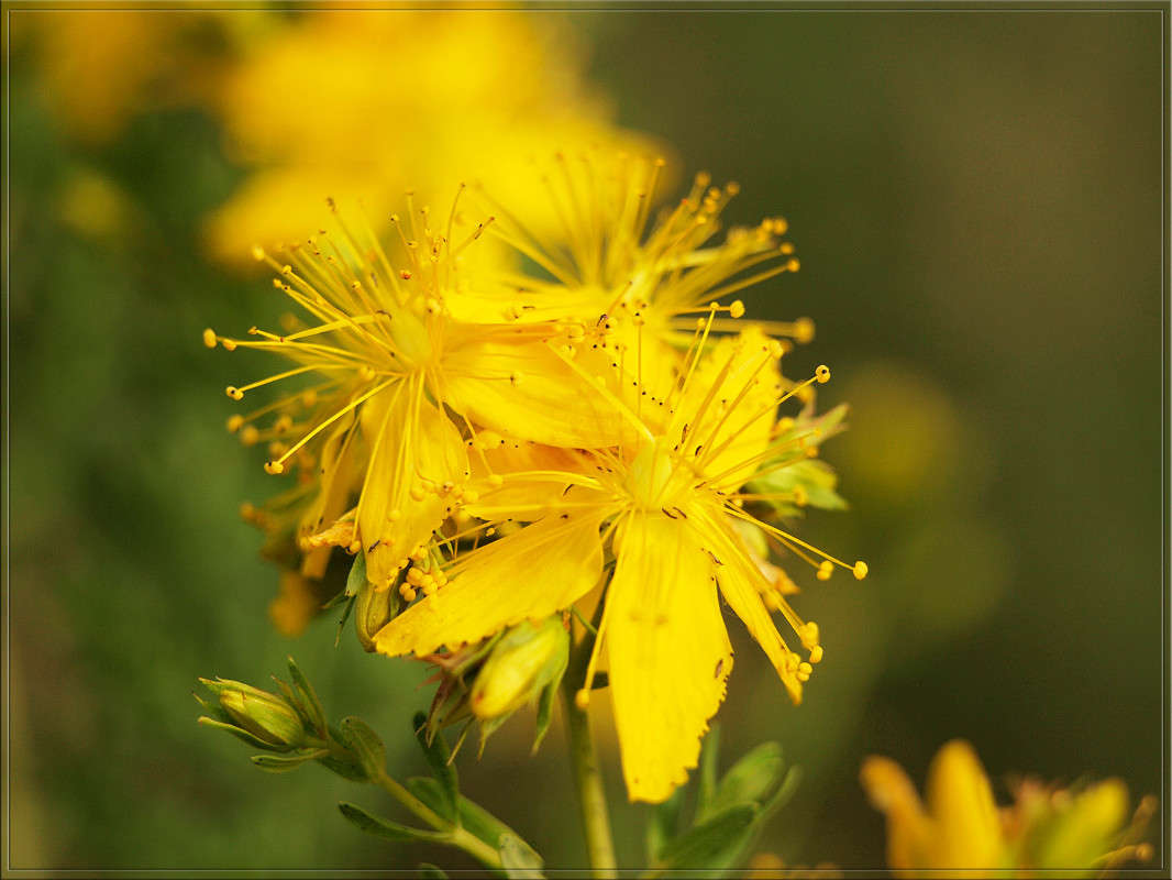 ���������� ����� ������  �� PhotoGeek.ru #������ ��� �������