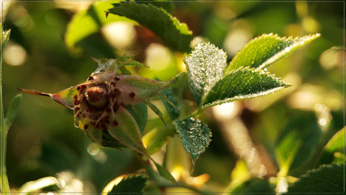 �������� ���� ����� ������  �� PhotoGeek.ru #������ ��� �������